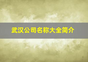 武汉公司名称大全简介