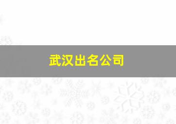 武汉出名公司