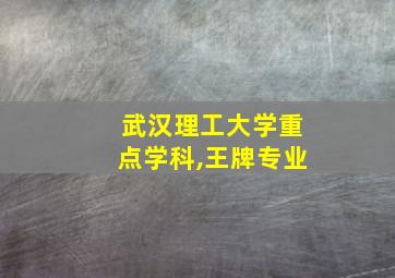 武汉理工大学重点学科,王牌专业