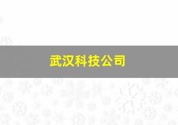 武汉科技公司