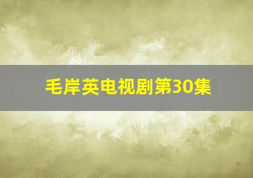 毛岸英电视剧第30集