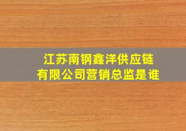 江苏南钢鑫洋供应链有限公司营销总监是谁