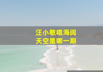 汪小敏唱海阔天空是哪一期