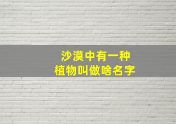 沙漠中有一种植物叫做啥名字