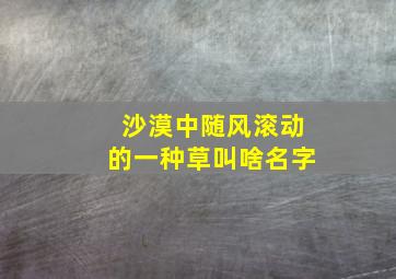 沙漠中随风滚动的一种草叫啥名字