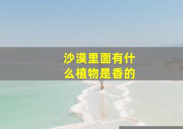 沙漠里面有什么植物是香的