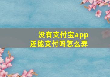 没有支付宝app还能支付吗怎么弄