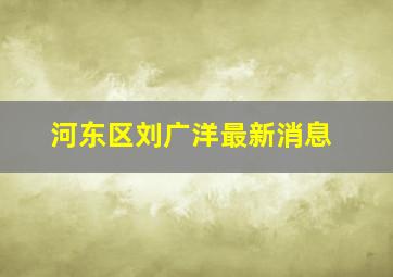 河东区刘广洋最新消息