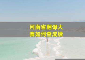 河南省翻译大赛如何查成绩