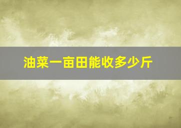 油菜一亩田能收多少斤