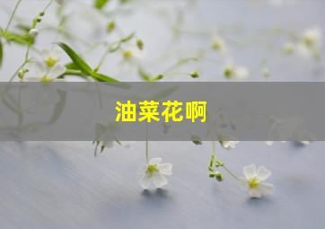 油菜花啊