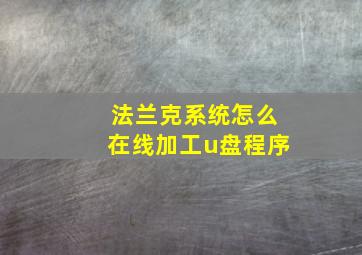 法兰克系统怎么在线加工u盘程序