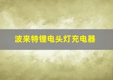 波来特锂电头灯充电器