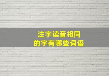 注字读音相同的字有哪些词语