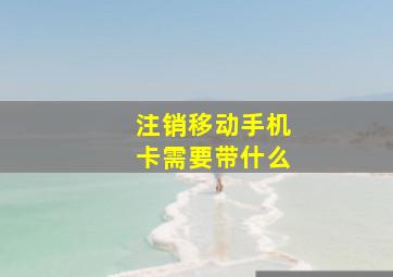 注销移动手机卡需要带什么