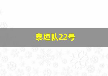 泰坦队22号