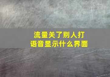 流量关了别人打语音显示什么界面