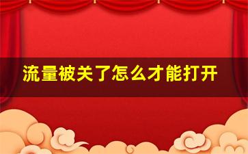 流量被关了怎么才能打开