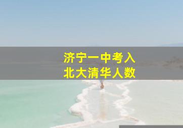 济宁一中考入北大清华人数