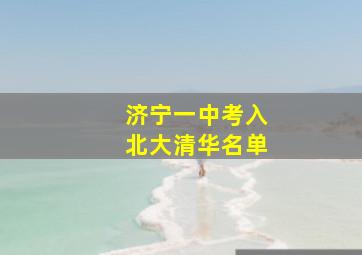 济宁一中考入北大清华名单