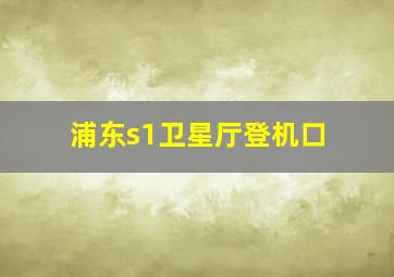 浦东s1卫星厅登机口