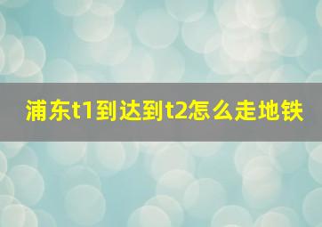 浦东t1到达到t2怎么走地铁