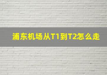 浦东机场从T1到T2怎么走