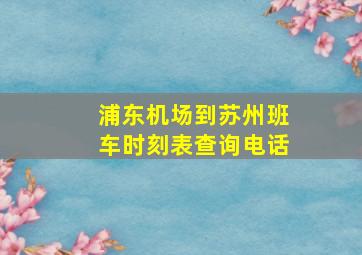 浦东机场到苏州班车时刻表查询电话