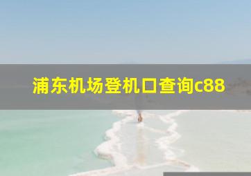 浦东机场登机口查询c88