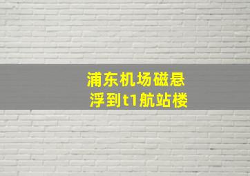 浦东机场磁悬浮到t1航站楼