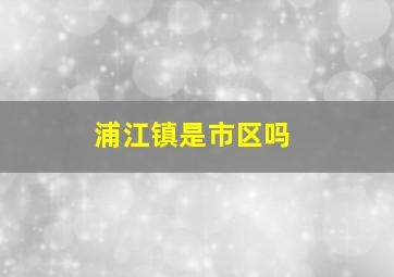 浦江镇是市区吗