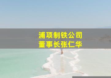 浦项制铁公司董事长张仁华