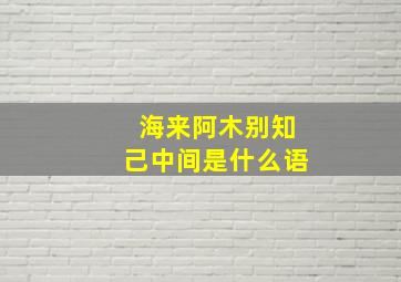 海来阿木别知己中间是什么语