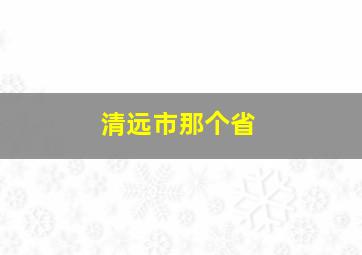 清远市那个省