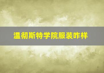 温彻斯特学院服装咋样