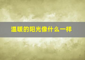 温暖的阳光像什么一样