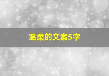 温柔的文案5字