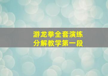 游龙拳全套演练分解教学第一段