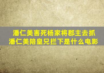 潘仁美害死杨家将郡主去抓潘仁美陪皇兄拦下是什么电影