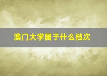 澳门大学属于什么档次