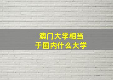 澳门大学相当于国内什么大学