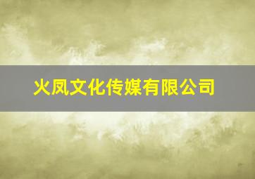 火凤文化传媒有限公司