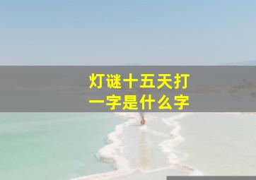 灯谜十五天打一字是什么字