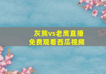 灰熊vs老鹰直播免费观看西瓜视频