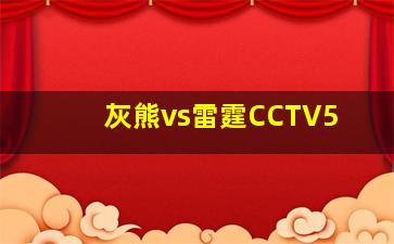 灰熊vs雷霆CCTV5