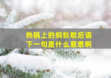 热锅上的蚂蚁歇后语下一句是什么意思啊