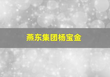 燕东集团杨宝金