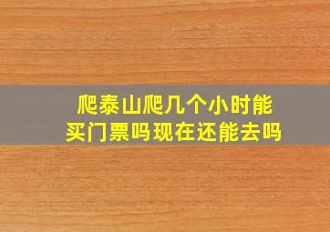 爬泰山爬几个小时能买门票吗现在还能去吗