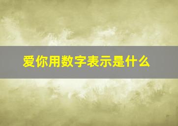 爱你用数字表示是什么