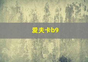 爱夫卡b9